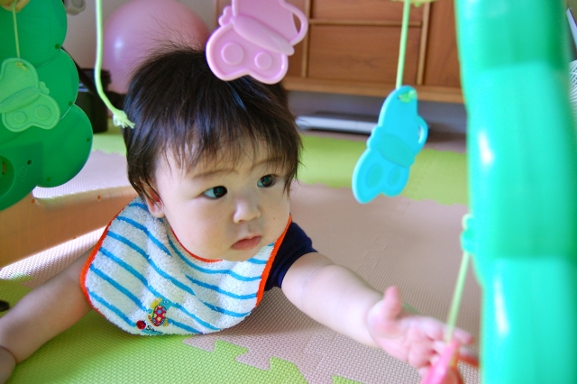赤ちゃんベビージム遊ぶ
