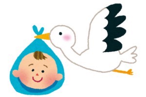 コウノトリが赤ちゃんを運んでいる