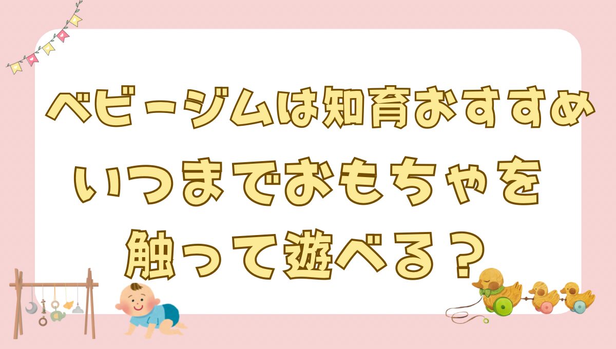 ベビージム知育おすすめ いつまで触って遊べる